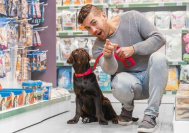 Going to the Pet Shops Near Me: Lessons from a Shopaholic