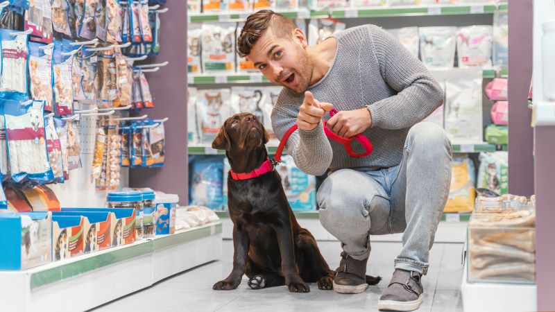 Going to the Pet Shops Near Me: Lessons from a Shopaholic