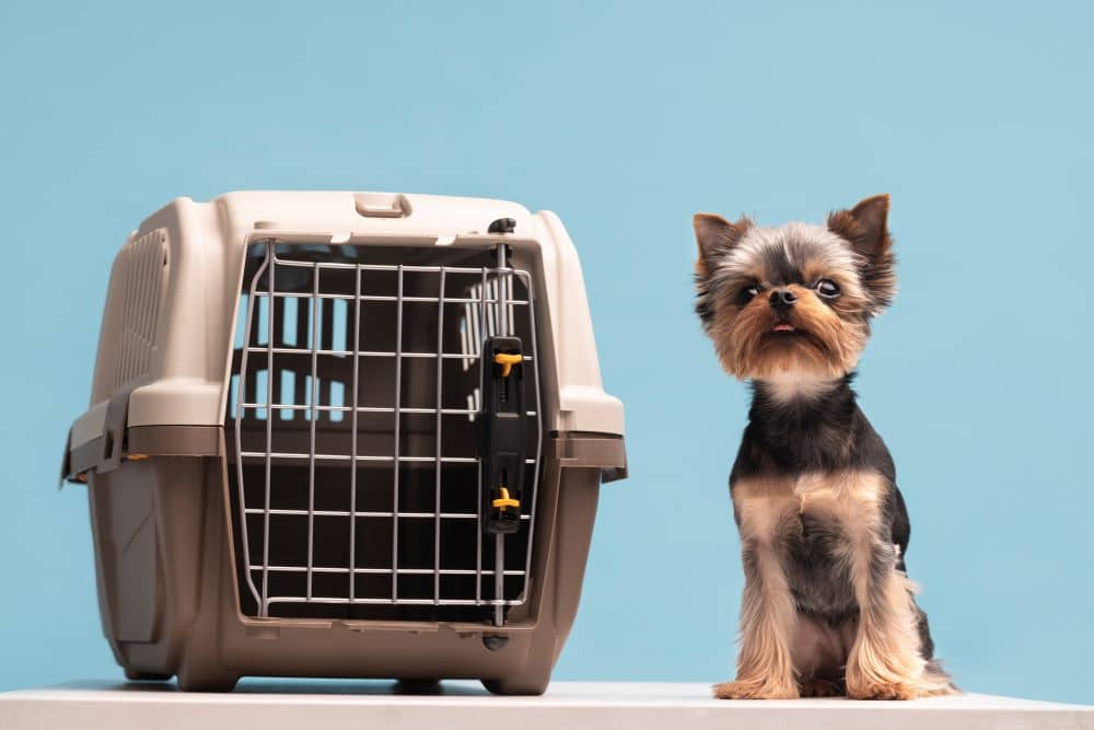 Why Purchase a High-Quality Dog Crate?